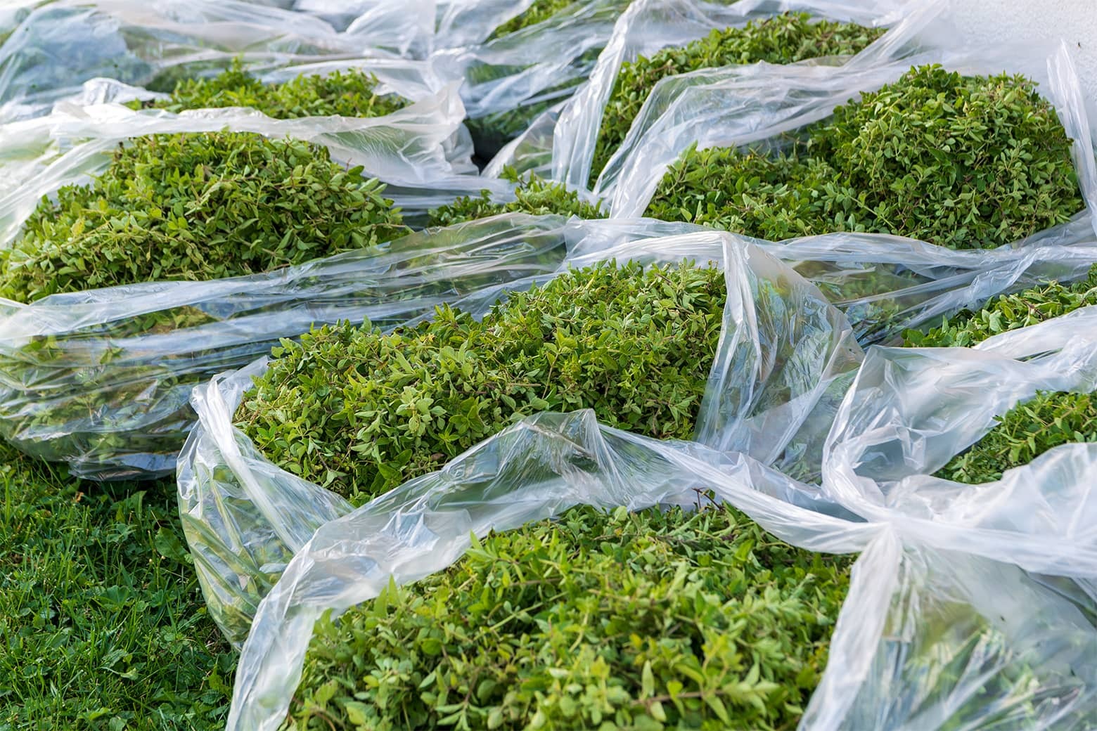 Zahlen & Fakten aus dem Berner Oberland